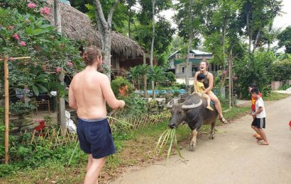 Uncle Ty’s Farmstay