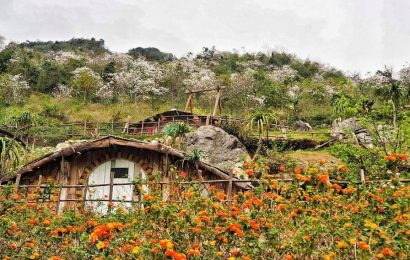 Homestay Phố Núi Tình Yêu